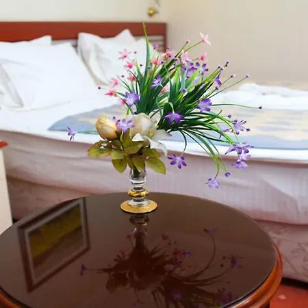 Hotel Akar International