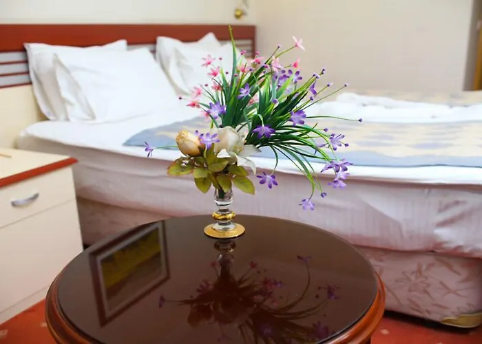 Hotel Akar International